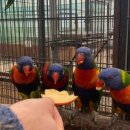 천수만농장 이미지