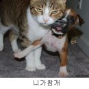 복 이미지