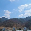 속초어명 - 강릉시 솔올로 9 | 속초어명