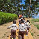4월 11일 삼성현 공원 산책 이미지