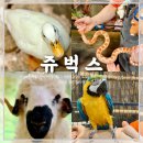 센타프라자 | 남동구에 위치한 인천실내동물원 주차 및 이용방법 정리ㅣ쥬벅스