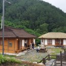 양원라벤더민박 이미지