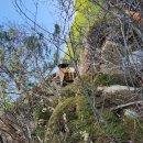 박진옥농장 이미지