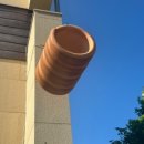 똑똑독 펫살롱 이미지