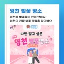 임고면-황강리-8