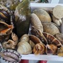 준이수산 이미지