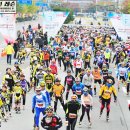 진주종합경기장 인라인경기장 이미지