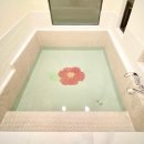 수망일기 이미지