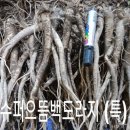 정성슈퍼