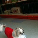 감자바우민박 이미지