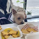 멈머냠냠 이미지