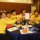 보성다비치콘도 이미지