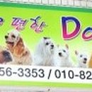 이편한도그 네이버블로그