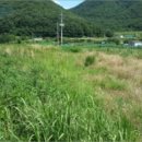 오비초등학교병설유치원 이미지