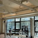 더바른피티 이미지