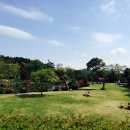 카멜리아힐 이미지