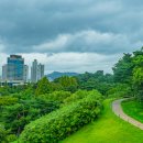 초원의 빛 이미지