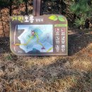 은형목장 Daum카페