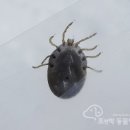 조앤박동물병원 이미지