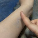 쫀쫀함의 비결!! 바르면 실타래같은 제형으로 바뀌는 아오와 엘라줄렌 펩타블루 항노화 크림 사용후기~~