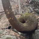 길목농장 이미지