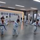 용인대 매교태권도장 이미지