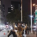 황소밧데리 이미지