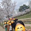 점핑클럽 | 창원 다이어트 어디서 해야 할까? 실패 반복 끝내는 점핑스타운동클럽🔥 (율하천 벚꽃 나들이 후기)