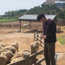 [2월일상] 봄젤네일/코로나/롯데호텔서울뷔페/사랑의불시착/성심당/망넛이네비건빵/벌써개강이라구요?