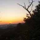 박재호 행정사 사무소 이미지