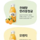 따옴