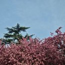 동성유스텔 이미지