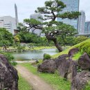 일본 도쿄 정원답사 2024 (20) - (2024.6.9) 큐 시바리큐 은사정원(旧芝離宮 恩賜庭園) 이미지
