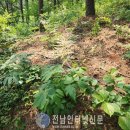 고흥군산림조합 전남인터넷신문