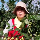 성리농장 네이버블로그