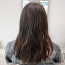 민주살롱 네이버블로그