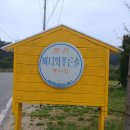 바다와푸른솔