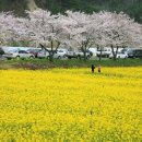 상맹방(상맹방1리) 이미지