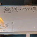 지라솔레(Girasole) 이미지