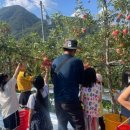 골드농장 이미지