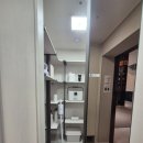 옥천초등학교 부근 이미지