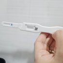 켈스러닝 이미지