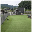 딩동댕애견스파풀빌라 이미지