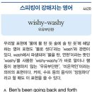 wishy-washy (우유부단한) 이미지
