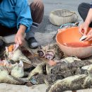 섬에 머물다 이미지