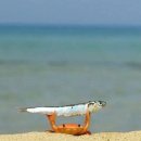 수박이네 이미지