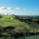 불국로(남) 이미지