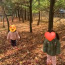 한빛키즈어린이집 이미지