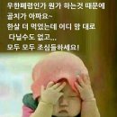 띵호와 - 인제군 비봉로 14-1 | 띵호와