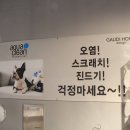 참클린 이미지